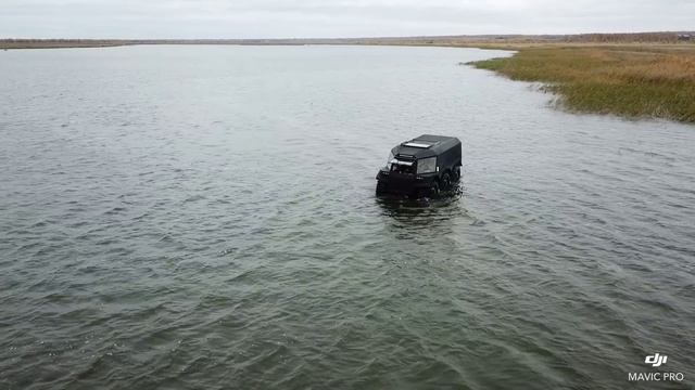 Химера_Омск