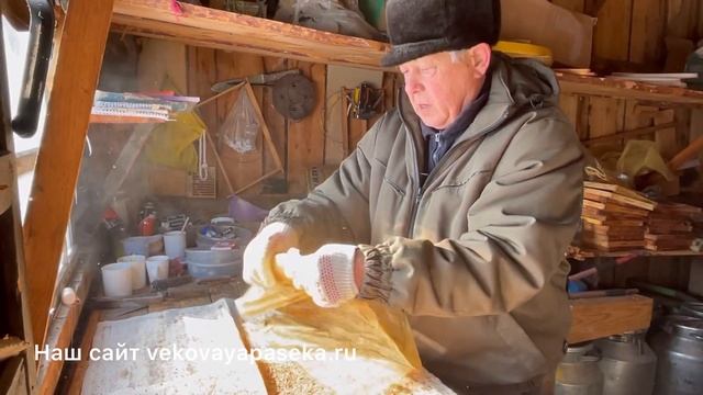 Как мы собираем прополис с воском. Как устанавливаем сетки для сбора прополиса. #вековаяпасека смотреть онлайн