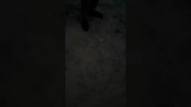 Поджечь тополиный пух ночью смотреть онлайн