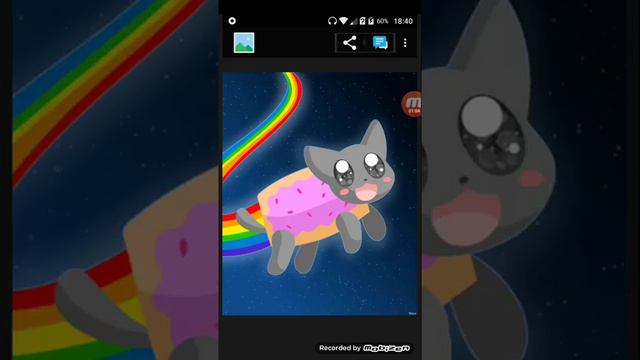 Песня nyan cat смотреть онлайн