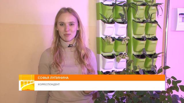 Сити-фермеры: как выращивают растения в офисах и квартирах? смотреть онлайн