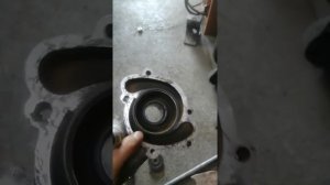 замена сальника помпы газ 3110 406 змз