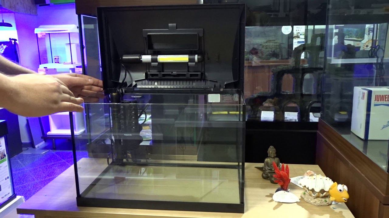 Видеоозор #аквариума #Aquael LEDDY LT 40 смотреть онлайн