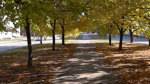 DSCN1507 смотреть онлайн