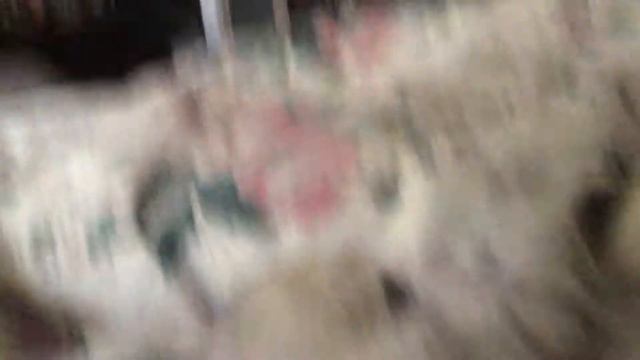 Кот-человек 2 смотреть онлайн