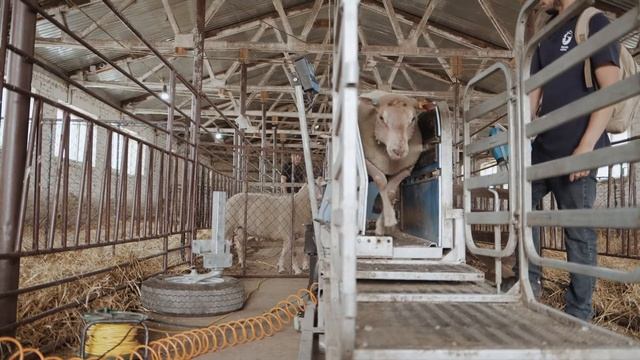 Как проходит аудит хозяйства с Фермер Сервис смотреть онлайн