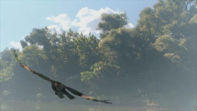 Флейта Релакс музыка Земля Орлов Land Of The Eagles Relax Music Quena Flute