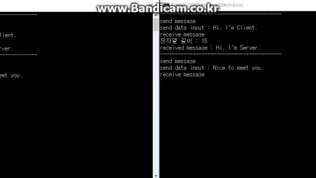 Echo Server & Client Sting Exchange смотреть онлайн