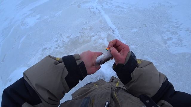 РЫБАЛКА на РЫБИНСКОМ ВОДОХРАНИЛИЩЕ / ЧТО ТВОРЯТ ЭТИ МОНСТРЫ?! ? смотреть онлайн