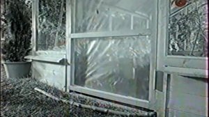 Реклама Китикет (Kitekat) - Борис поймал пчелу (2006)