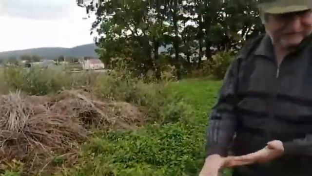 (#319) 03-04.10.21 Деревенский быт/Вечер/ Помидоры/ Ремонт электропилы/ (часть1) смотреть онлайн