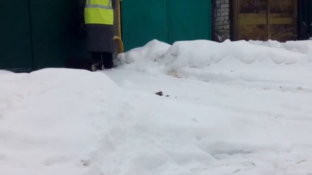 Ensuly Peri2 смотреть онлайн