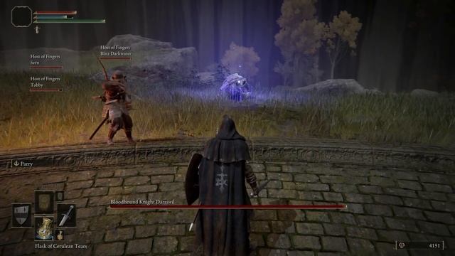 Elden Ring Seamless Co op Mod Is OUT - and its amazing смотреть онлайн