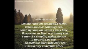 И снова пред Тобою на коленях я стою...