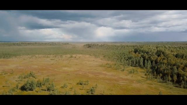 За клюквой в Смоленское поозерье, село Пржевальское смотреть онлайн