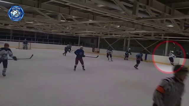 Видео №5 в номинацию "Курьезный случай" смотреть онлайн