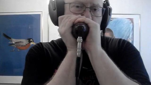 Håkan Ehn and his wood microphone for blues harmonica made by Greg Heumann смотреть онлайн