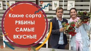 Дегустация Рябины. Какие сорта рябины самые вкусные