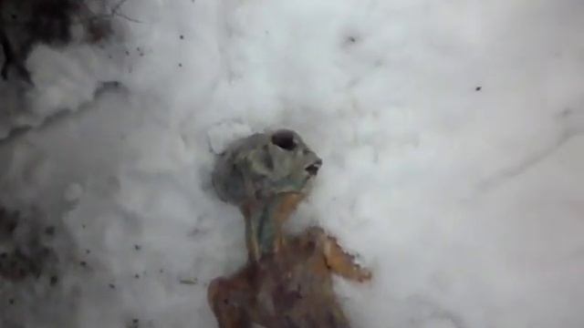 Энело в Казахстане найдено смотреть онлайн
