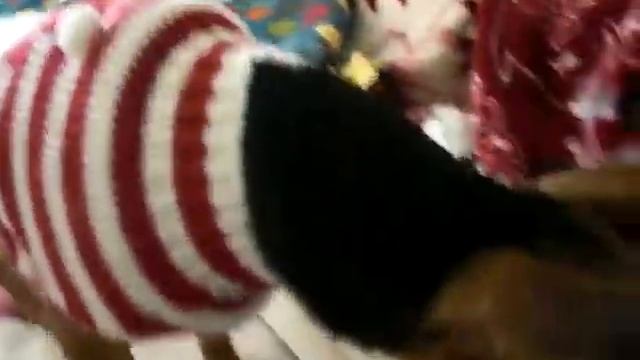 Peach Crying for my Food смотреть онлайн