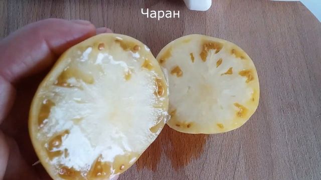 ТОП-5 сортов для дозаривания и хранения. Томаты на 16 октября смотреть онлайн