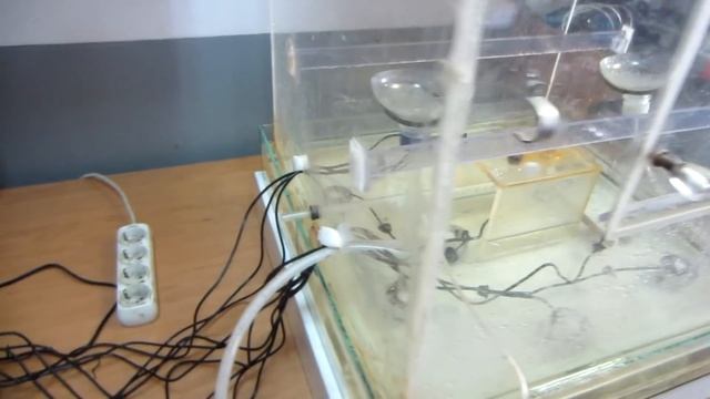 Испытание ультразвуковых генераторов тумана смотреть онлайн