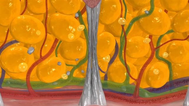 BTL Emtone. Как это работает? смотреть онлайн