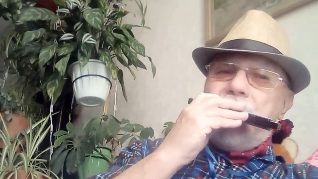 И.Истомин. Разминка. #Harmonika_tremolo #Гармоника_тремоло #ТурочакСтепаныч смотреть онлайн