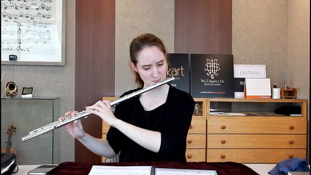 {FLUTE REVIEW} ✓ Haynes AF780SE-BO - Full silver flute смотреть онлайн