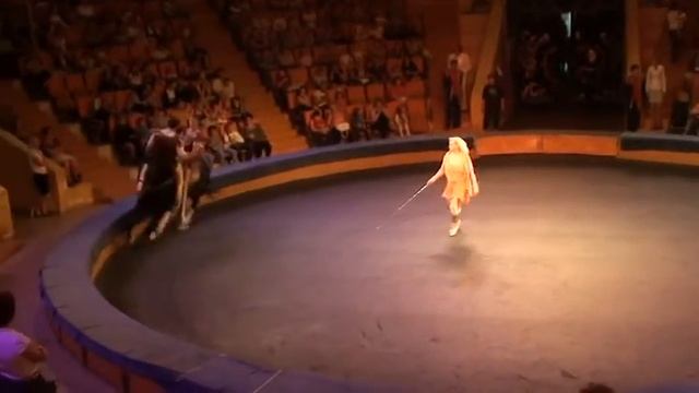 Александровы-Серж Конно-акробатический ансамбль смотреть онлайн