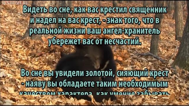 К чему снится Крест сонник, толкование сна смотреть онлайн