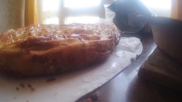 Балканский пирог ! смотреть онлайн