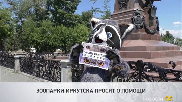 ЗООПАРКИ ИРКУТСКА ПРОСЯТ О ПОМОЩИ смотреть онлайн