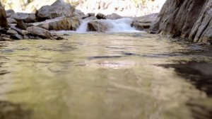 Рим 5-8. Послание Ап. Павла христианам в Риме с 5 по 8 главы.