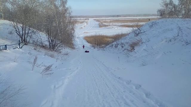 "Ездовая" собака - русский спаниель смотреть онлайн