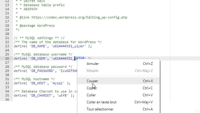 حل مشكل الرسالك Error establishing a database connection في مواقع الوورد براس wordpress خطوة بخطوة смотреть онлайн