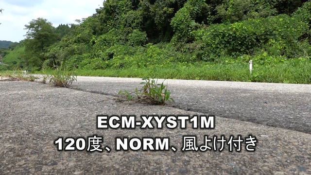 2019.09 RX100M7 外部マイクテスト(ECM-XYST1M) смотреть онлайн