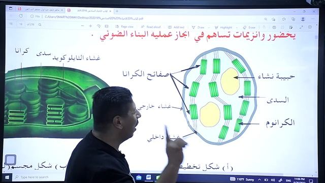المحاضرة الخامسة البلاستيدات والجسيمات الحالة