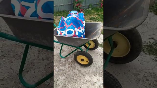 Ozon доставка смотреть онлайн