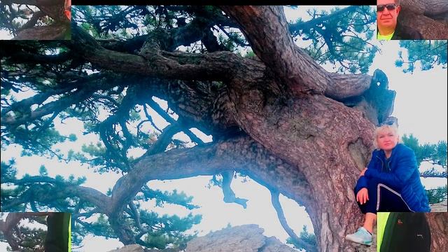 ФОТО АЙ ПЕТРИ 2020 смотреть онлайн