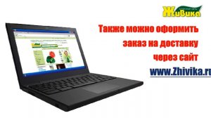 Интернет-аптека Живика zhivika.ru . Доставка лекарств на дом. Бронирование по низким ценам.