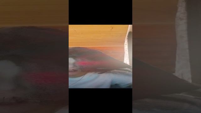 школа первая часть