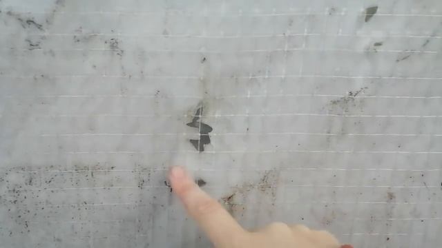 Первые морозы - Теплица однослойная. Бессонная ночь и переживания за замерзшие цветы.Нагрянула зима смотреть онлайн