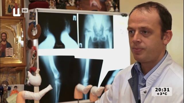 Панацея дворец Палей смотреть онлайн