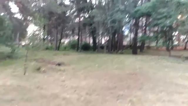 Пицунда 2018 - где остановиться (Мюссерский заповедник) смотреть онлайн