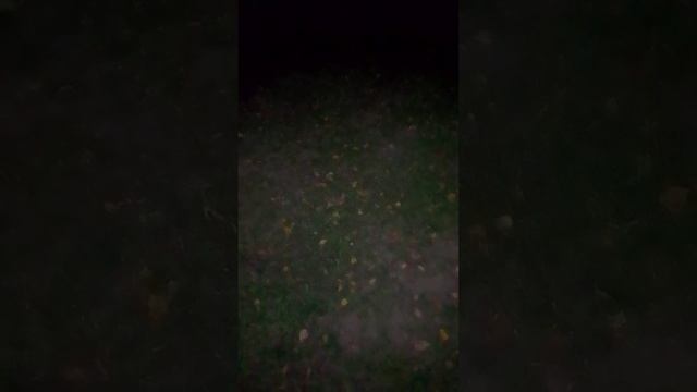 Аскеза и экстаз 3 эрудиция смотреть онлайн