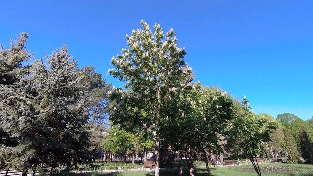 Пятигорск.Комсомольский парк. смотреть онлайн