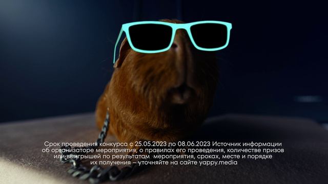 Yappy. Превращай идеи в заработок.