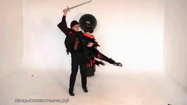 Танец для проекта "Танцы с животными" смотреть онлайн