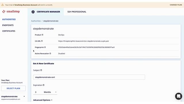 Welcome To Smallstep Certificate Manager смотреть онлайн